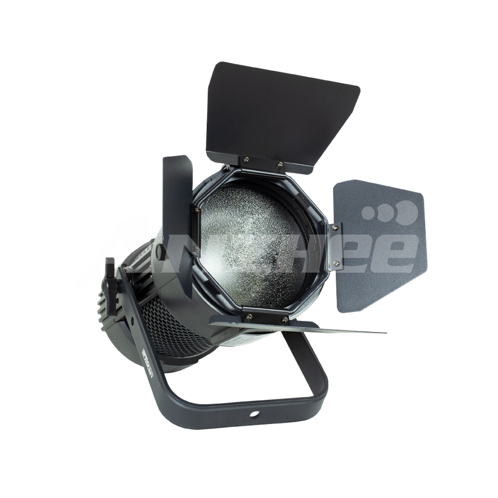 PROCBET Fresnel 100 W ZOOM F (WW)