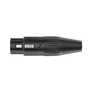 Упаковка RX3FP-BT/50