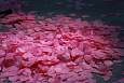 Конфетти бумажное Лепестки роз розовые