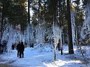 Искусственный снег "Decor-Powder" Искусственный снег "Decor-Powder"