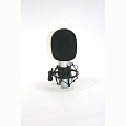 INVOTONE SM150B - студийный Pro микрофон конденсаторный, -10дБ, фильтр НЧ, ветрозащита, паук, кейс
