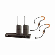 SHURE BLX188E/SM31 M17 - двухканальная радиосистема