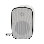 DWS-880PW Корпусные двухполосные громкоговорители