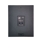 Элемент линейного массива ELEPHANT