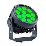 Прожектор REPAR 12x10FAU IP
