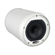 TANNOY OCV 6 WH - потолочный цилиндрический громкоговоритель, 60 /120 /120 Вт, 16 Ом