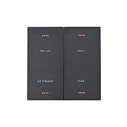 MusicBox S-220 Медиаплеер, стилизованный под «Выключатель», со встроенным стереоусилителем