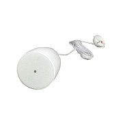 SHOW NSP-6/WH - громкоговоритель подвесной 6,5', 30Вт, 100/70В/ 6Ом, белый