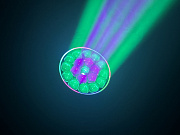 INVOLIGHT FXWASH1940IP - всепогодная голова вращения WASH, 19x LED RGBW, IP65, DMX, RDM