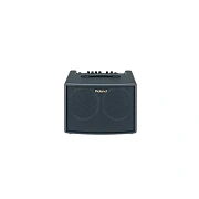 ROLAND AC-60 - комбо для акустических гитар, стерео, 2х30 Вт.