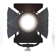 Кашетирующие шторки восьмилепестковые Fresnel Barn Door, 8-leaf, 7.5" (FRESBD7.5)