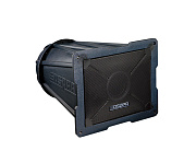 DSPPA DSP-3012А полнодиапазонный рупорный громкоговоритель