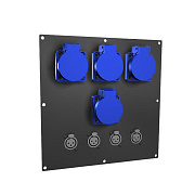 Панель лючка ПЛ.25.25. (4SCHUKO-4XLRm) Панель лючка. черного цвета