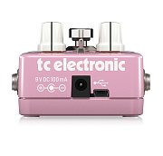 TC Electronic BRAINWAVES PITCH SHIFTER эффект изменения высоты тона, +/- 2 октавы, полифония, редактирование через USB, стерео вход и выход Jack