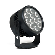 Прожектор REPAR 12x10FAU IP