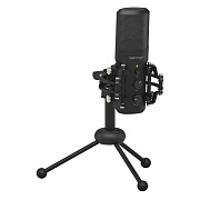 BEHRINGER BU200 - конденсаторный микрофон премиум-класса с USB портом, кардиоидная направленность