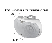 Настенный громкоговоритель ELLIPSE-2440TW
