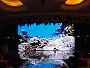 INSCREEN P2.5 (640x640мм) Кабинет светодиодного экрана
Шаг пикселя 2,5 мм
Для работы в помещении