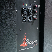 ECO ФЛАМЕНКО звукоусилительный комплект