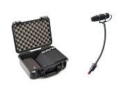 DPA KIT-4099-DC-10C DPA KIT-4099-DC-10C комплект в кейсе из 10 микрофонов CORE 4099 c аксессуарами для классических инст