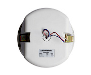 DSP-602EN Потолочный громкоговоритель с противопожарным колпаком 6 Вт