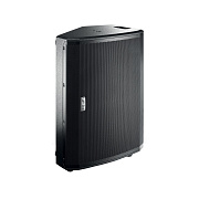 FBT VENTIS 115M - двухполосный пассивный монитор