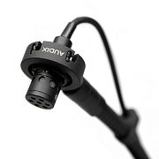 Audix MicroD Миниатюрный конденсаторный микрофон для ударных и перкуссии, гиперкардиоида