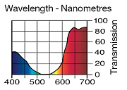 Светофильтр LEE Filters №128 BRIGHT PINK