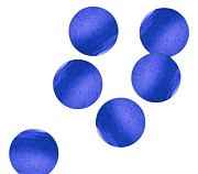 Конфетти бумажное Круги синие Конфетти бумажное Круги синие