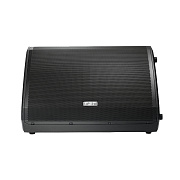 FBT VENTIS 115M - двухполосный пассивный монитор