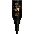Audix ADX40HC Подвесной конденсаторный гиперкардиоидный микрофон, черный